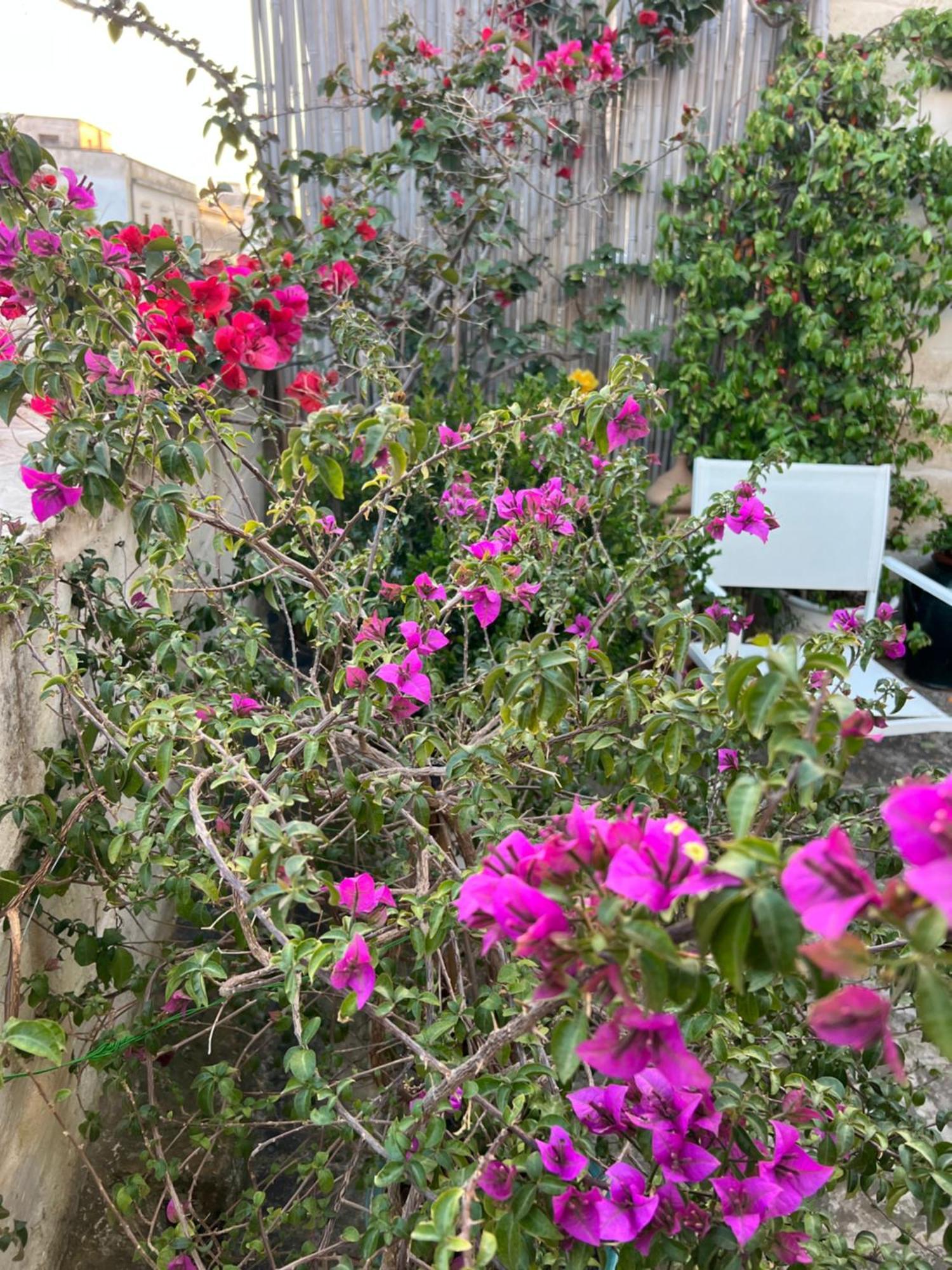 Suite Battisti 7 Λέτσε Εξωτερικό φωτογραφία