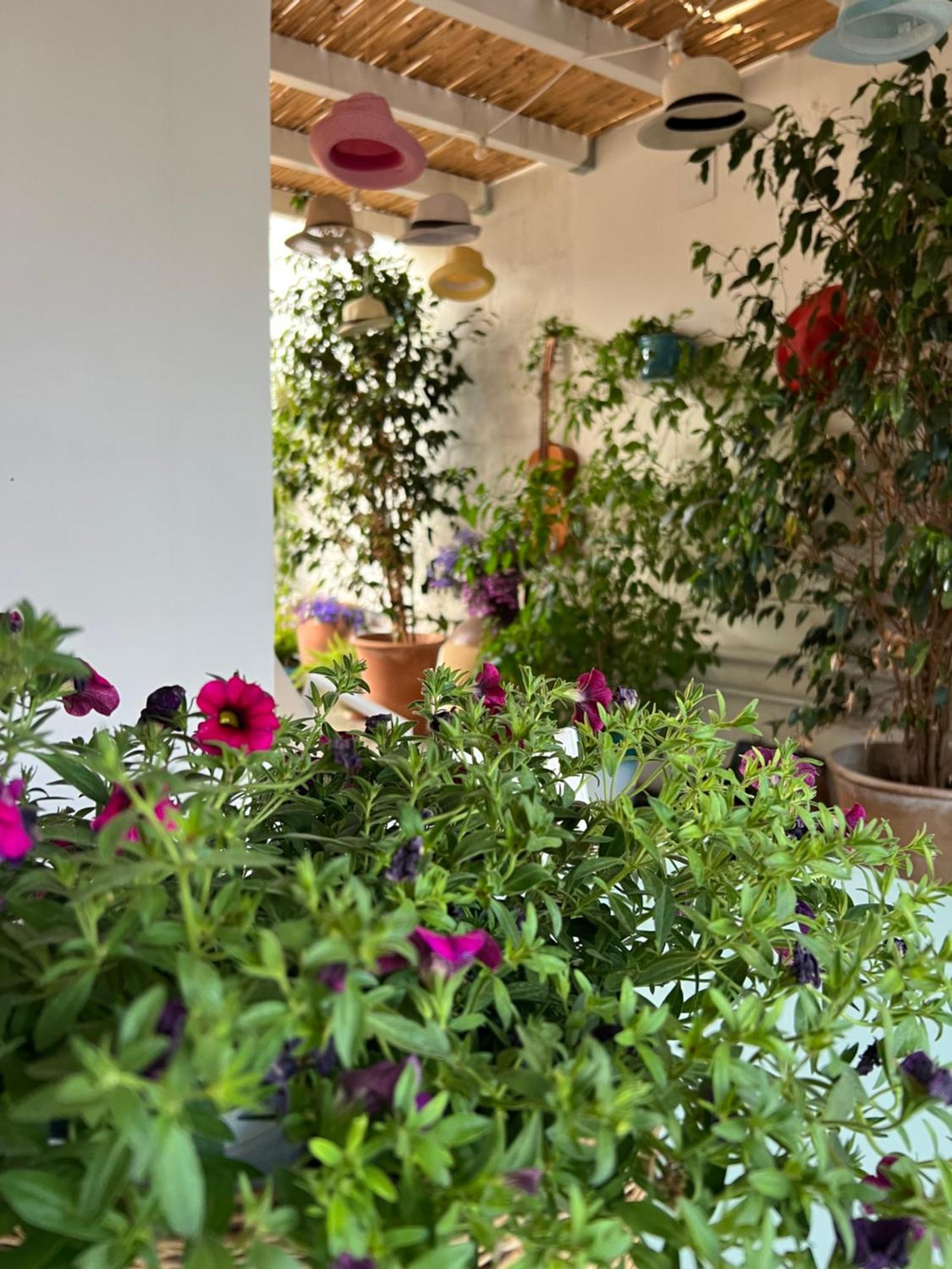 Suite Battisti 7 Λέτσε Εξωτερικό φωτογραφία
